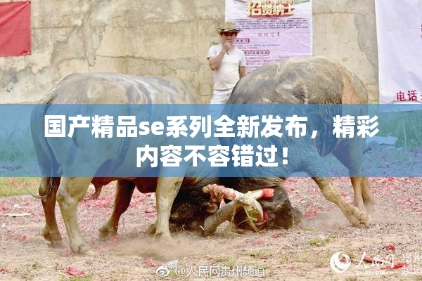 国产精品se系列全新发布，精彩内容不容错过！