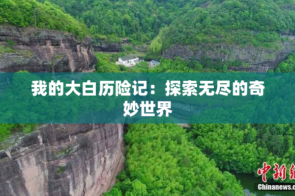 我的大白历险记：探索无尽的奇妙世界