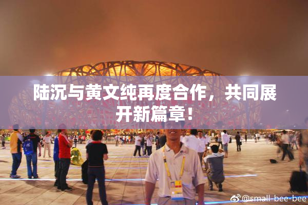 陆沉与黄文纯再度合作，共同展开新篇章！