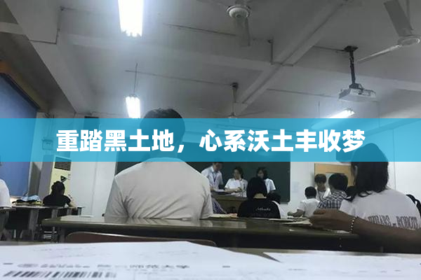 重踏黑土地，心系沃土丰收梦