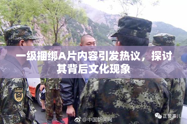 一级捆绑A片内容引发热议，探讨其背后文化现象