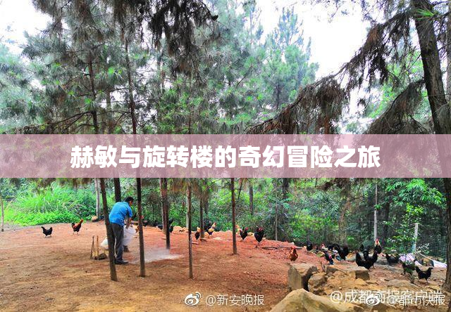 赫敏与旋转楼的奇幻冒险之旅