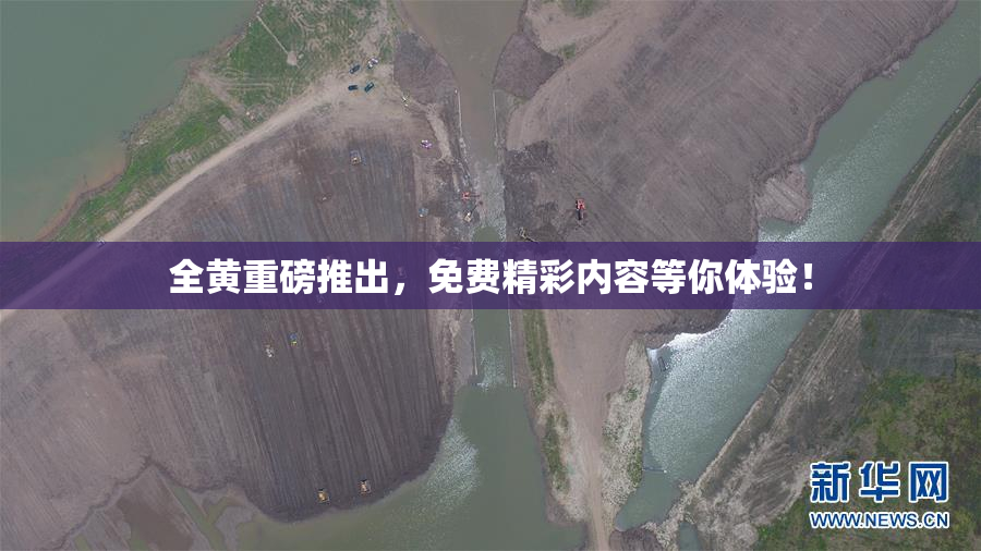 全黄重磅推出，免费精彩内容等你体验！