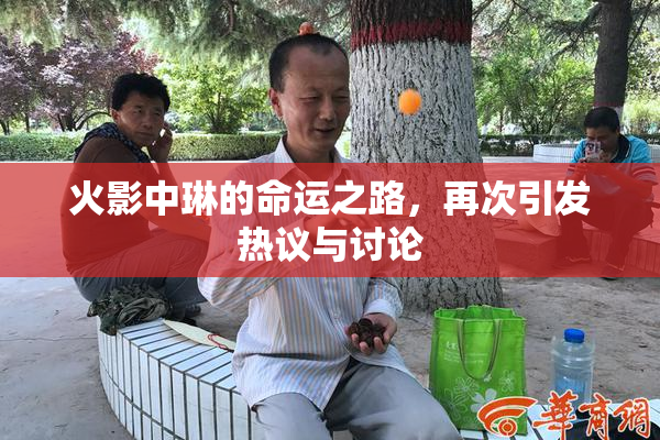 火影中琳的命运之路，再次引发热议与讨论