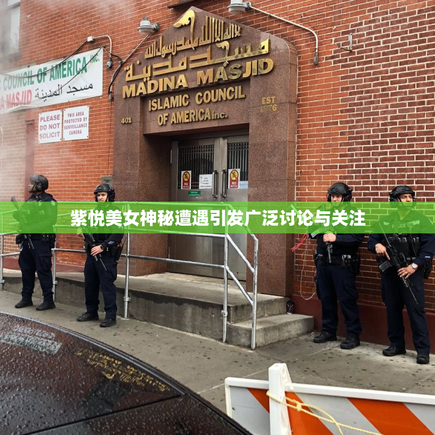 紫悦美女神秘遭遇引发广泛讨论与关注
