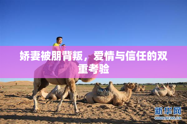 娇妻被朋背叛，爱情与信任的双重考验