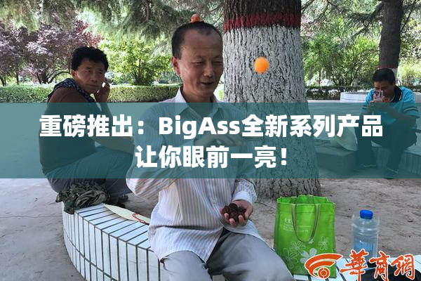 重磅推出：BigAss全新系列产品让你眼前一亮！