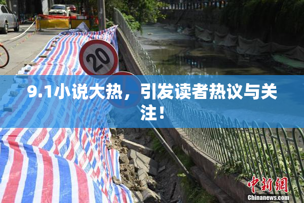 9.1小说大热，引发读者热议与关注！