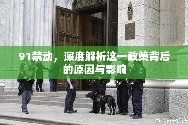 91禁动，深度解析这一政策背后的原因与影响