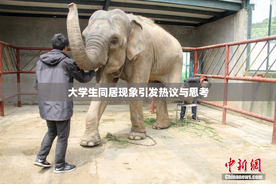 大学生同居现象引发热议与思考