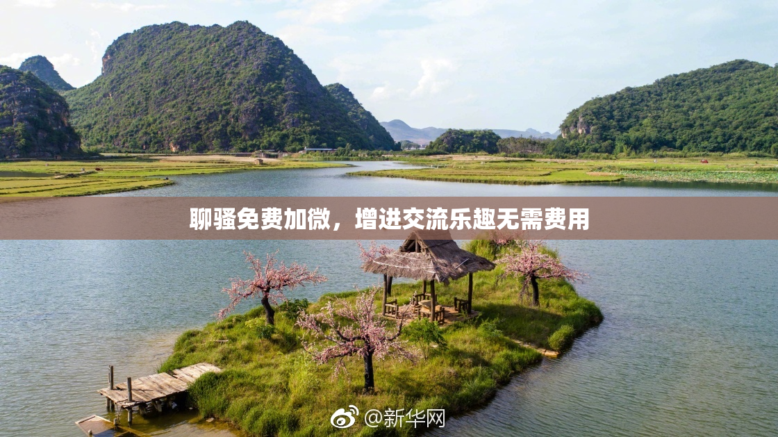 聊骚免费加微，增进交流乐趣无需费用