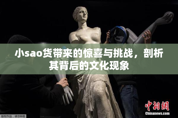小sao货带来的惊喜与挑战，剖析其背后的文化现象