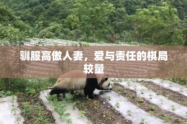 驯服高傲人妻，爱与责任的棋局较量