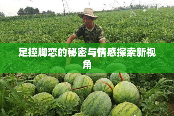 足控脚恋的秘密与情感探索新视角