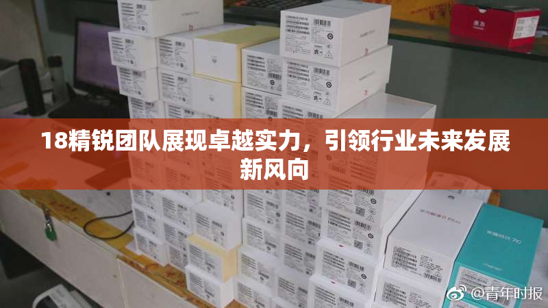 18精锐团队展现卓越实力，引领行业未来发展新风向