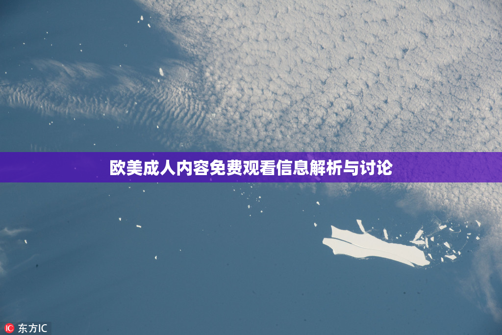 欧美成人内容免费观看信息解析与讨论
