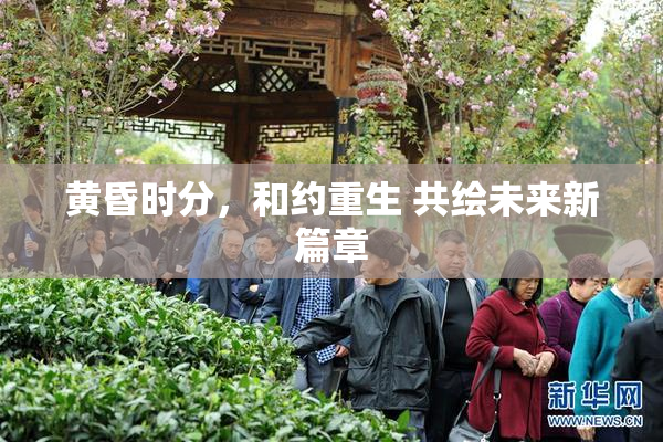 黄昏时分，和约重生 共绘未来新篇章
