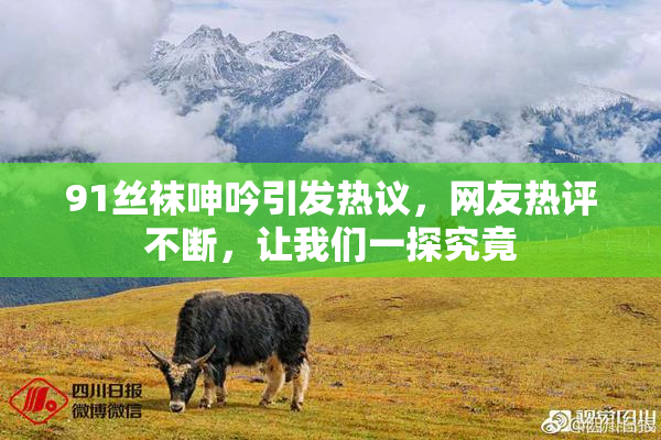 91丝袜呻吟引发热议，网友热评不断，让我们一探究竟