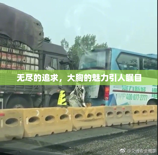 无尽的追求，大胸的魅力引人瞩目