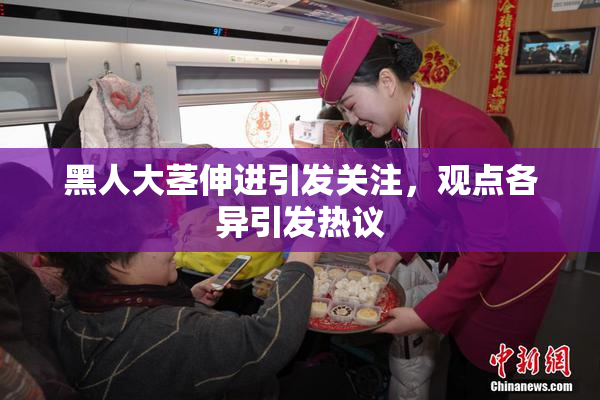 黑人大茎伸进引发关注，观点各异引发热议