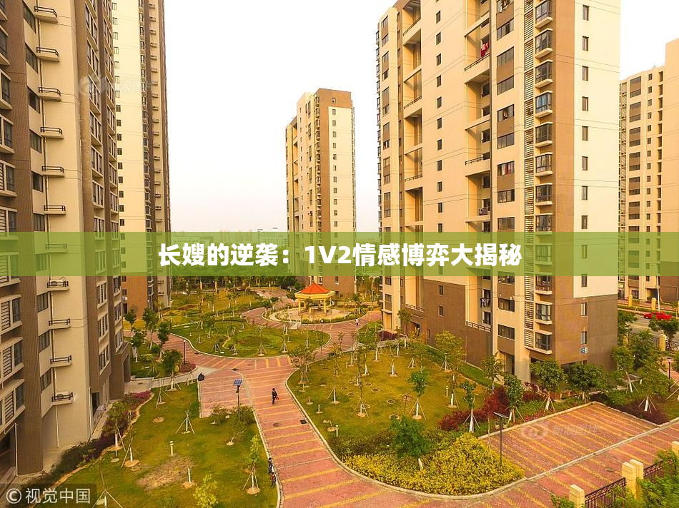 长嫂的逆袭：1V2情感博弈大揭秘