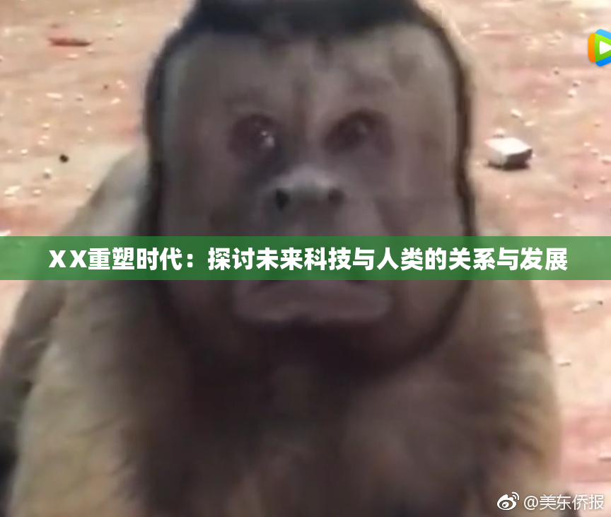 ⅩX重塑时代：探讨未来科技与人类的关系与发展