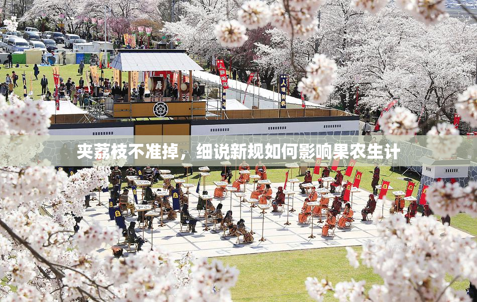 夹荔枝不准掉，细说新规如何影响果农生计
