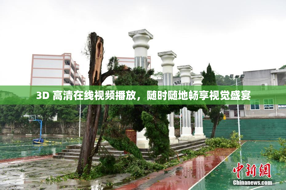 3D 高清在线视频播放，随时随地畅享视觉盛宴