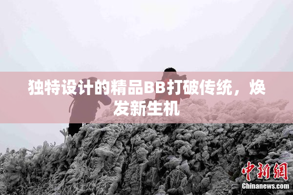 独特设计的精品BB打破传统，焕发新生机