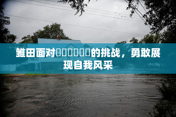 雏田面对❌‌❌‌❌‌的挑战，勇敢展现自我风采