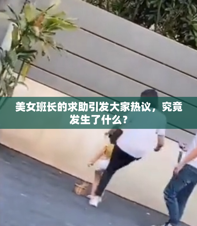 美女班长的求助引发大家热议，究竟发生了什么？