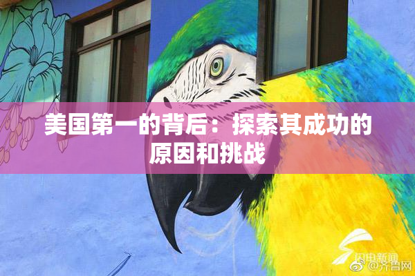 美国第一的背后：探索其成功的原因和挑战