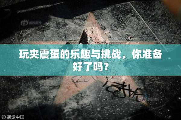 玩夹震蛋的乐趣与挑战，你准备好了吗？