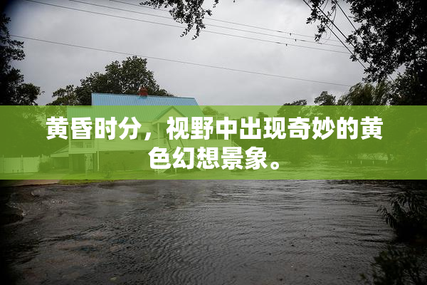 黄昏时分，视野中出现奇妙的黄色幻想景象。