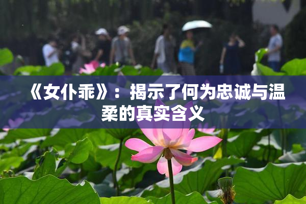 《女仆乖》：揭示了何为忠诚与温柔的真实含义