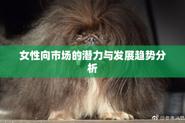 女性向市场的潜力与发展趋势分析
