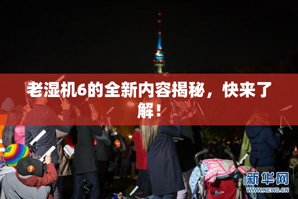 老湿机6的全新内容揭秘，快来了解！