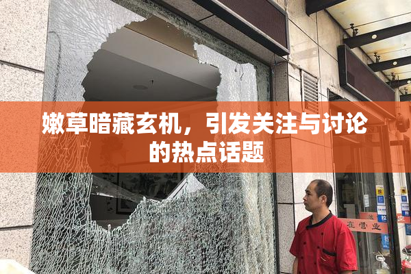 嫩草暗藏玄机，引发关注与讨论的热点话题