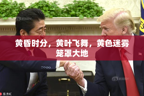 黄昏时分，黄叶飞舞，黄色迷雾笼罩大地