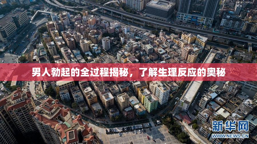 男人勃起的全过程揭秘，了解生理反应的奥秘