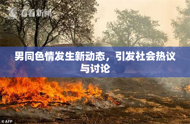 男同色情发生新动态，引发社会热议与讨论