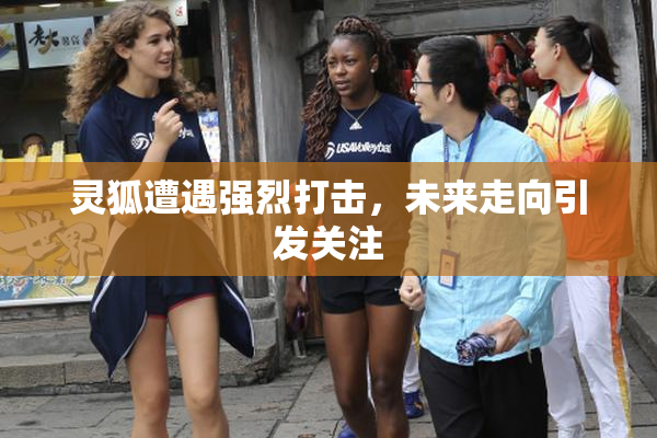 灵狐遭遇强烈打击，未来走向引发关注