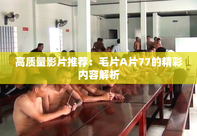 高质量影片推荐：毛片A片77的精彩内容解析