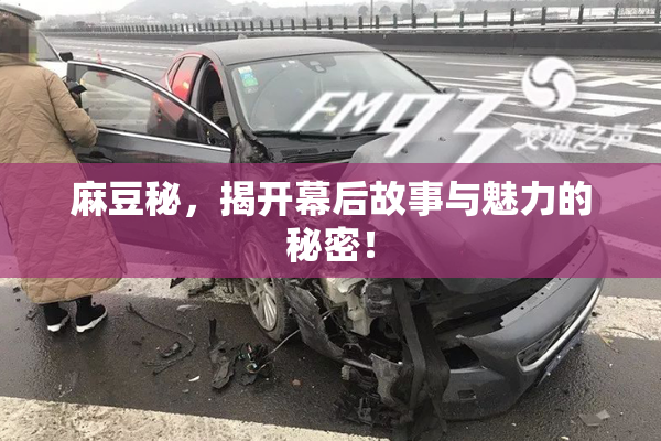 麻豆秘，揭开幕后故事与魅力的秘密！