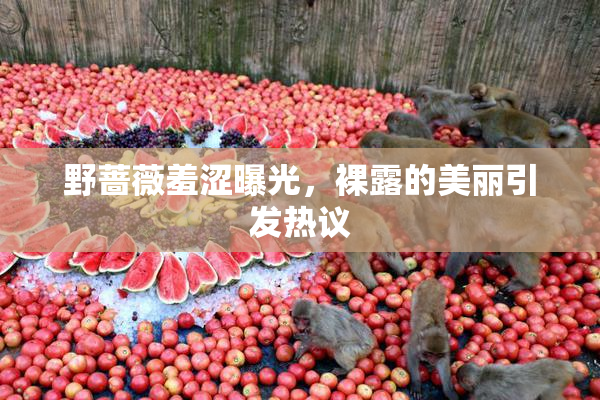野蔷薇羞涩曝光，裸露的美丽引发热议