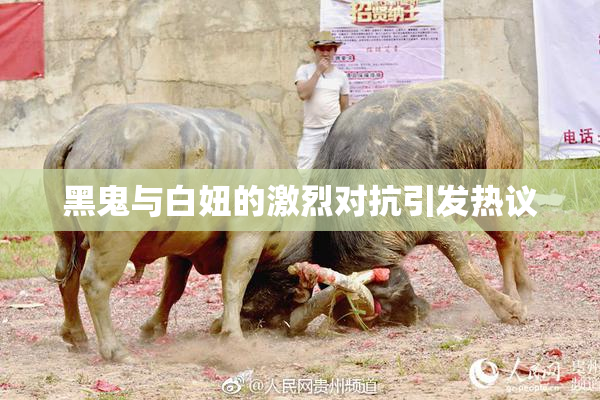 黑鬼与白妞的激烈对抗引发热议