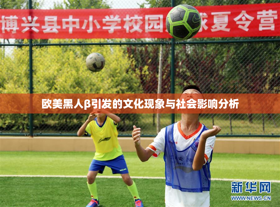 欧美黑人β引发的文化现象与社会影响分析