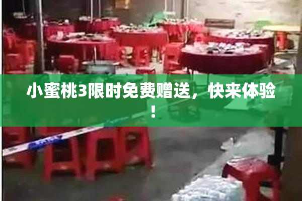 小蜜桃3限时免费赠送，快来体验！