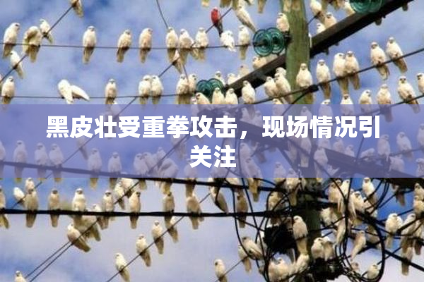 黑皮壮受重拳攻击，现场情况引关注
