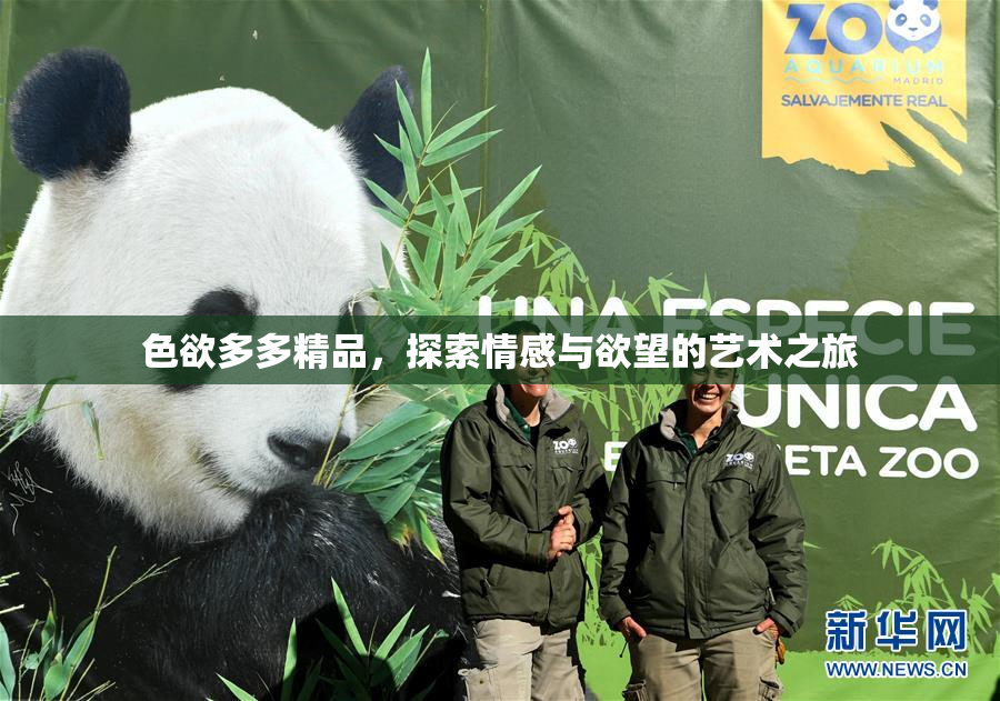 色欲多多精品，探索情感与欲望的艺术之旅